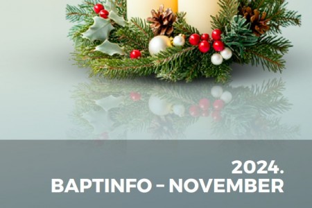 BAPTINFO 2024.11