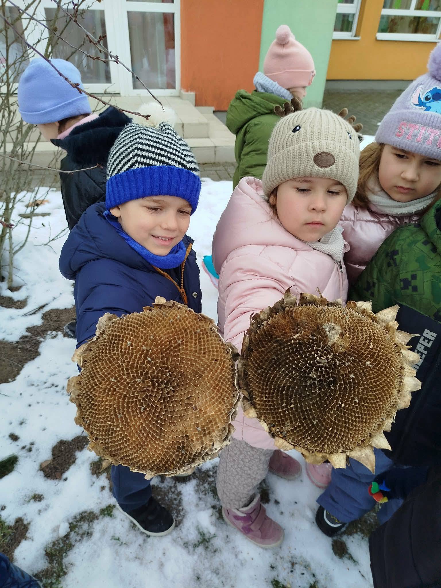 Téli madáretetés Seregélyesen