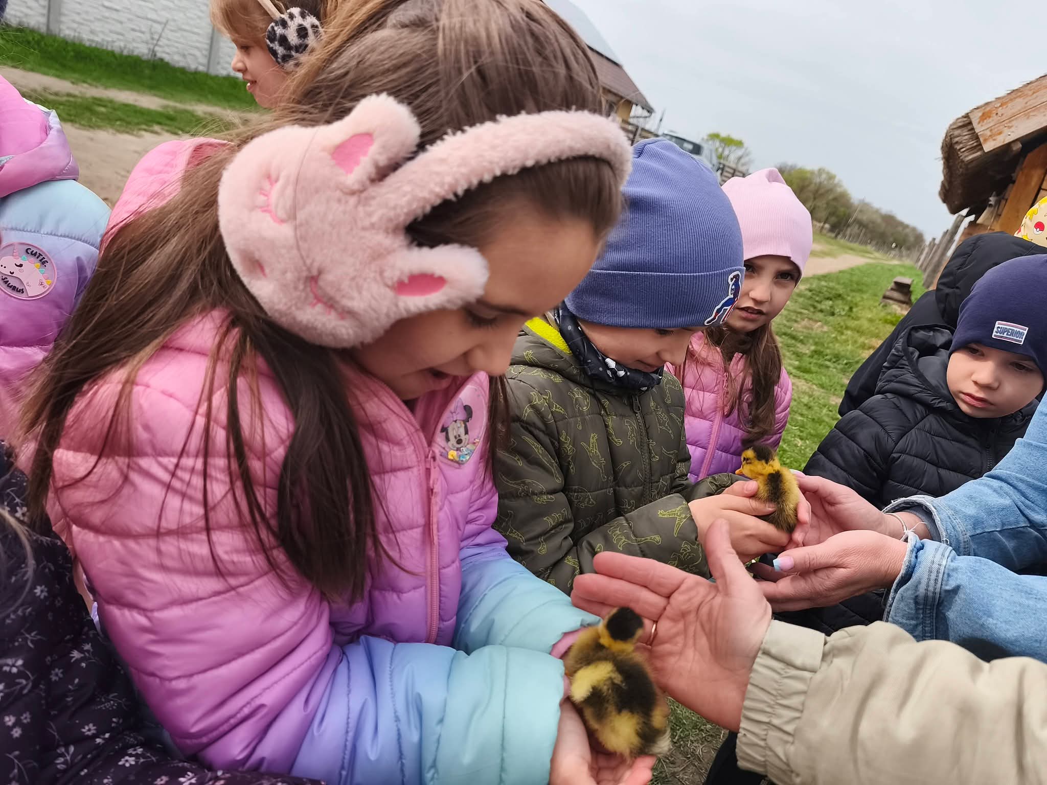 Madárgyűrűzés a Dinnyési-fertőn 